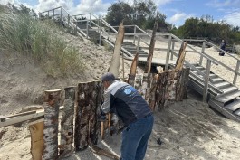 В западной части Зеленоградска приступили к укреплению авандюны (фото)