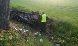 На приграничной трассе Польши автомобиль столкнулся с оленем и загорелся: погибли двое