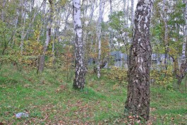 В природном парке «Виштынецкий» установят автономные регистраторы движений