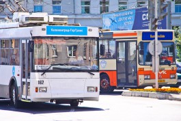 Выделенные полосы для общественного транспорта в Калининграде появятся после принятия закона об эвакуаторах