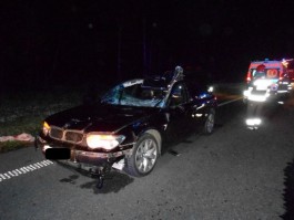 Калининградец на БМВ сбил двух лосей под Бранево (фото)