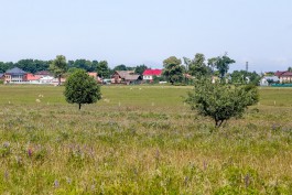 В Калининградской области падает спрос на покупку загородных домов