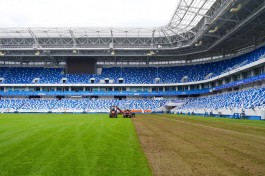 На стадионе «Калининград» начали реновацию футбольного поля