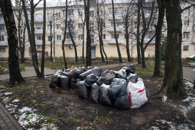 Эколог: Поляки хотят заниматься переработкой мусора в Калининградской области