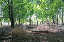 На острове Канта в Калининграде готовят площадку для деревянных арт-объектов (фото)