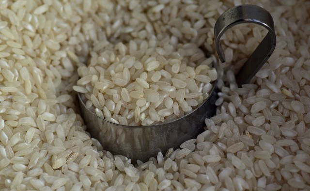 В порту Балтийска обнаружили 75 тонн заражённого пакистанского риса