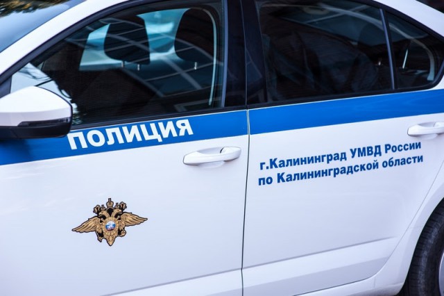 Калининградские полицейские за час нашли украденную детскую коляску (видео)