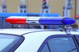 Полиция разыскивает очевидцев ДТП на Балтийском шоссе, в котором погибла женщина