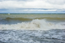 Калининградцев предупреждают об усилении ветра до 27 метров в секунду в понедельник