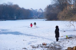 «Самый холодный февраль за 50 лет»: учёные объяснили аномальные морозы в Калининградской области