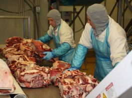 Инспекторы из России начали проверку польских мясоперерабатывающих заводов