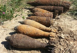 Сапёры Балтфлота за сутки обезвредили в регионе 44 боеприпаса времён ВОВ