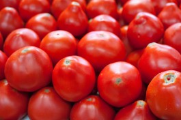 Россельхознадзор не пустил в регион 17 тонн заражённых томатов из Македонии