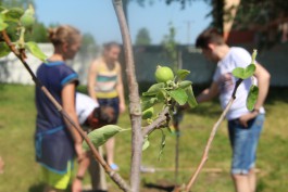 В психоневрологическом интернате в Полесске заложили яблонево-грушевый сад