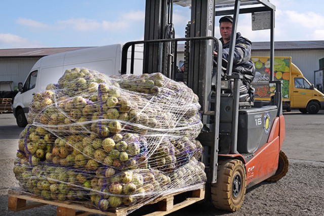 Калининградцы продали 80 тонн яблок агрофабрике по производству соков