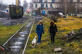 «Жизнь — бумеранг»: как жительница Калининграда находила собакам дом, а в итоге получила помощь для покупки жилья