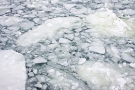 МЧС предупреждает о разломе льдов в Калининградской области