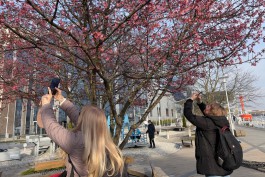 На длинных выходных в Калининградской области потеплеет до +24&deg;С