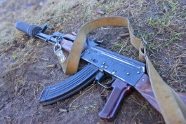 Из-за АЧС в Калининградской области отстреляют диких кабанов