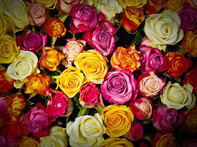 УМВД: В Советске мужчина украл 100 роз из цветочного магазина