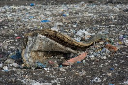 Власти: В отдельных местах Калининграда крупногабаритный мусор не вывозили с Нового года