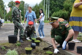 В Советске и Черняховске высадили более 100 дубов и елей