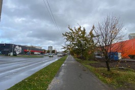 В Калининграде ищут подрядчика для капремонта транспортного узла на улицах Панина и Горького 
