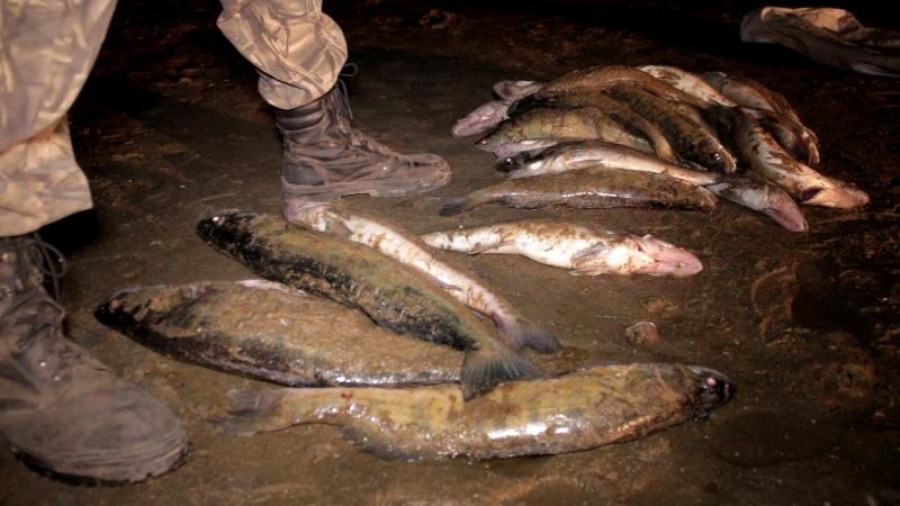 За незаконную ловлю рыбы в Калининградской области задержали 18 человек