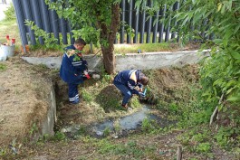 На улице Сусанина в Калининграде нашли несколько незаконных канализационных стоков