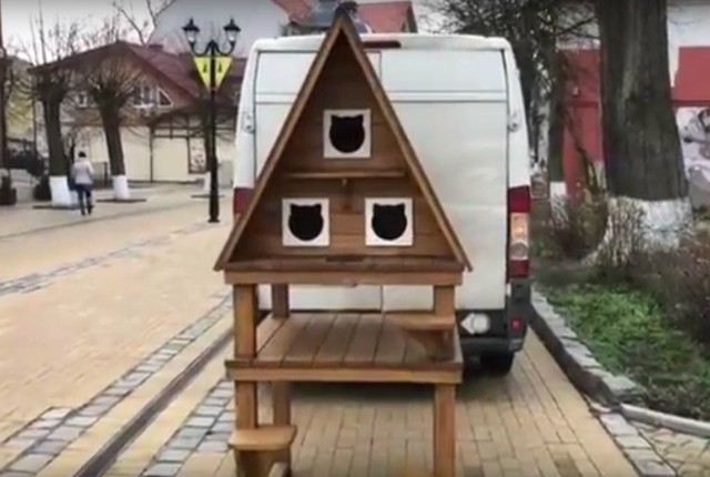 В Зеленоградске установили домик для уличных котов (видео)