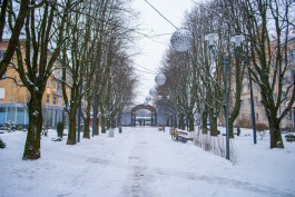 Синоптики прогнозируют в Калининграде пасмурную погоду и слабый минус