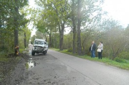На проспекте Победы УАЗ въехал в дерево и «Форд»: пострадал мужчина