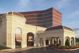 «Театр и декор»: инвестор представил обновлённый проект казино «Шамбала» с гостиницей в Куликово (фото)