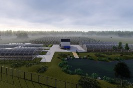 В Зеленоградском округе построят тепличный комплекс для выращивания саженцев облепихи 