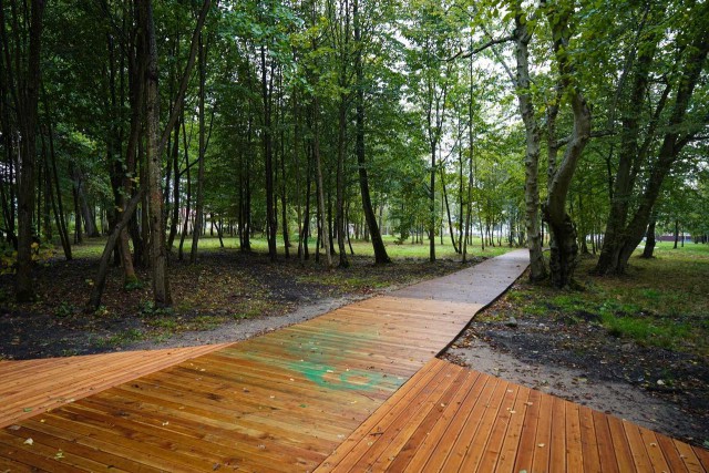 «Корабли в лесу»: старинный парк в Сосновке посвятят истории географических открытий и путешествий