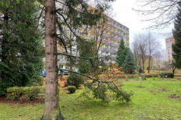 За полгода санатории Калининградской области заработали более 1 млрд рублей