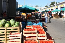 «В складчину дешевле»: сколько стоят овощи и фрукты на оптовом рынке Калининграда  (фото)