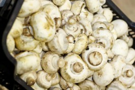 С начала года в Калининградскую область ввезли более 350 тонн шампиньонов из Белоруссии