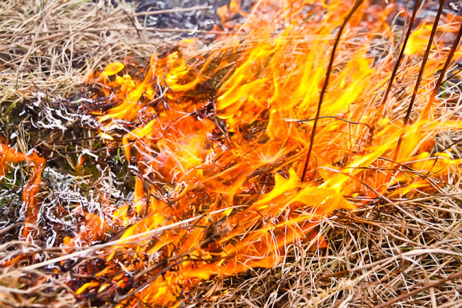 Возгорание прошлогодней травы в Зеленоградском районе повредило водяной насос