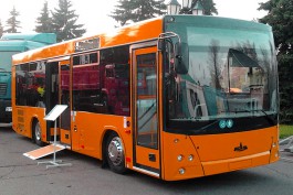 «МАЗы европейского качества»: какие автобусы выйдут на улицы Калининграда осенью