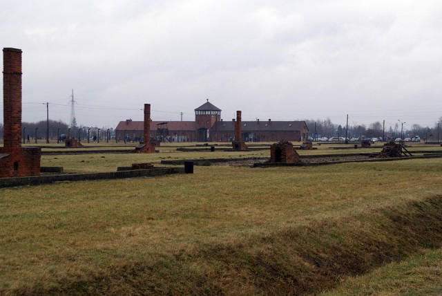 В Польше нашли обломки советского бомбардировщика, участвовавшего в освобождении Освенцима