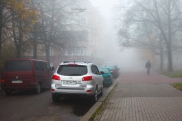 ГИБДД предупреждает калининградских водителей о тумане и гололедице