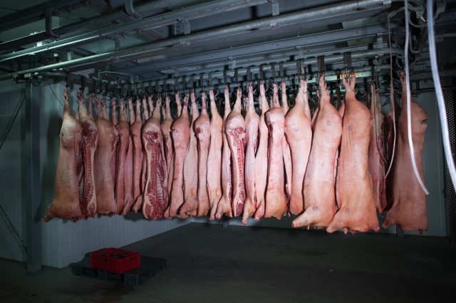 Калининградские производители свинины хотят через Вьетнам выйти на китайский рынок