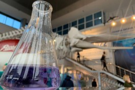 В Музее Мирового океана калининградцам предлагают проверить качество воды из-под крана
