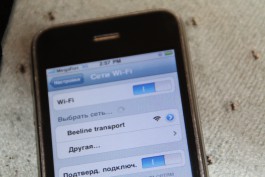Муниципальный транспорт Калининграда оборудовали бесплатным Wi-Fi