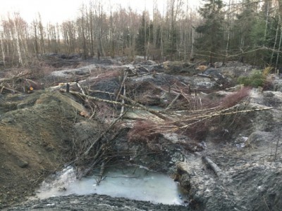 Полицейские задержали на побережье Балтийского моря 28 чёрных копателей янтаря