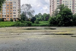 «Мусор, шлам и утки в лужах»: в Калининграде осушили Ялтинский пруд