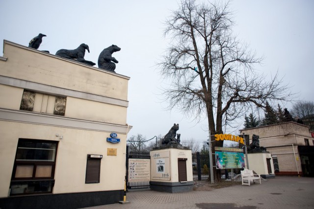 Алиханов выделит 15 млн рублей из резервного фонда на восстановление скульптур на входе в зоопарк