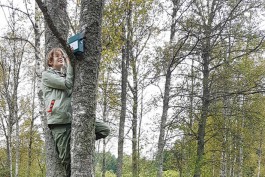 В Виштынецком нацпарке установили устройства для записи голосов благородного оленя