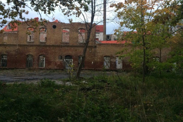 Инвестору гостиницы не удалось перевести территорию санаторского парка в Зеленоградске под застройку